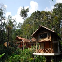 Best places to visit in Coorg  places to stay in coorg
